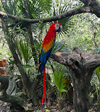 Xcaret Park