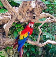 Xcaret Park