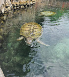 Xcaret Park