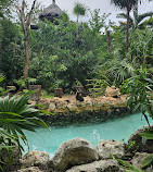 Xcaret Park