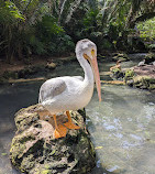 Xcaret Park