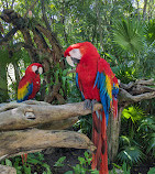 Xcaret Park