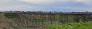 Lookout Balcony At Trestle Bridge And Maribyrnong River