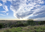 Lookout Balcony At Trestle Bridge And Maribyrnong River