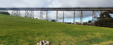 Moonee Ponds Creek Viyadüğü