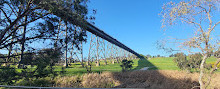 Moonee Ponds Creek Viyadüğü