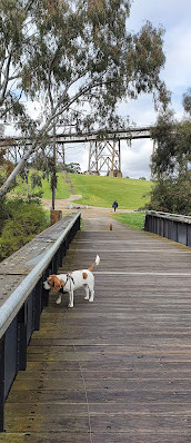 Moonee Ponds Creek Viyadüğü