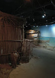 Abu Dhabi History Museum and Aquarium