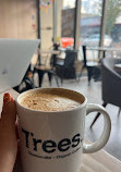 Trees Organic Coffee Davie St