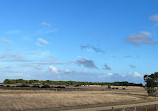 Cheetham Wetlands Observation Tower