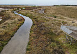 Cheetham Wetlands Observation Tower