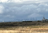 Cheetham Wetlands Observation Tower