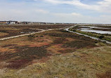 Cheetham Wetlands Observation Tower