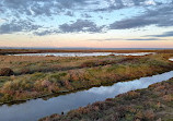 Cheetham Wetlands Observation Tower