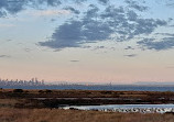 Cheetham Wetlands Observation Tower