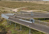 Cheetham Wetlands Observation Tower