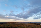 Cheetham Wetlands Observation Tower