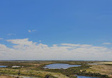 Cheetham Wetlands Observation Tower