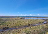 Cheetham Wetlands Observation Tower