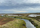 Cheetham Wetlands Observation Tower