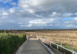 Cheetham Wetlands Observation Tower