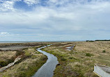 Cheetham Wetlands Observation Tower