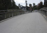 The Corktown Footbridge