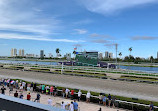 Gulfstream Park Racing