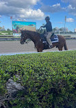 Gulfstream Park Racing