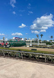 Gulfstream Park Racing