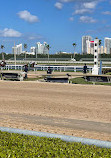 Gulfstream Park Racing