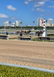 Gulfstream Park Racing