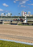 Gulfstream Park Racing