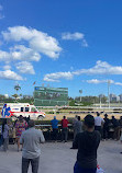 Gulfstream Park Racing