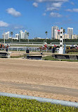 Gulfstream Park Racing