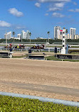 Gulfstream Park Racing