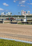 Gulfstream Park Racing