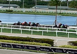 Gulfstream Park Racing