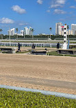 Gulfstream Park Racing