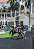 The Village at Gulfstream Park