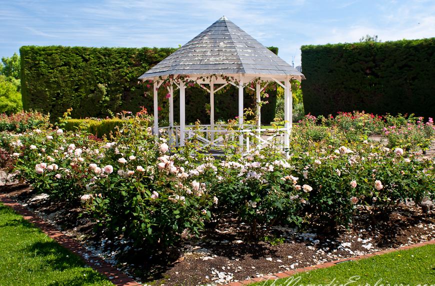 Giardini botanici di St Kilda