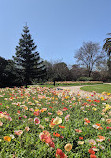 St Kilda Botanical Gardens