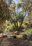 St Kilda Botanical Gardens