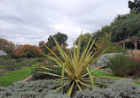 St Kilda Botanical Gardens