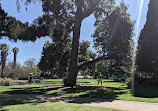 St Kilda Botanical Gardens