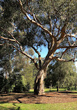 St Kilda Botanical Gardens