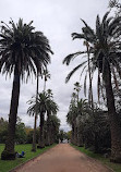 St Kilda Botanical Gardens