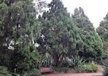 St Kilda Botanical Gardens