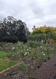 St Kilda Botanical Gardens