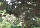 St Kilda Botanical Gardens